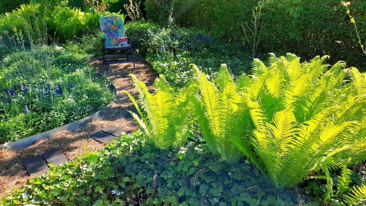 Mitten Im Seenland Und Spreewaldnah, Schoener Garten Storkow  Eksteriør bilde