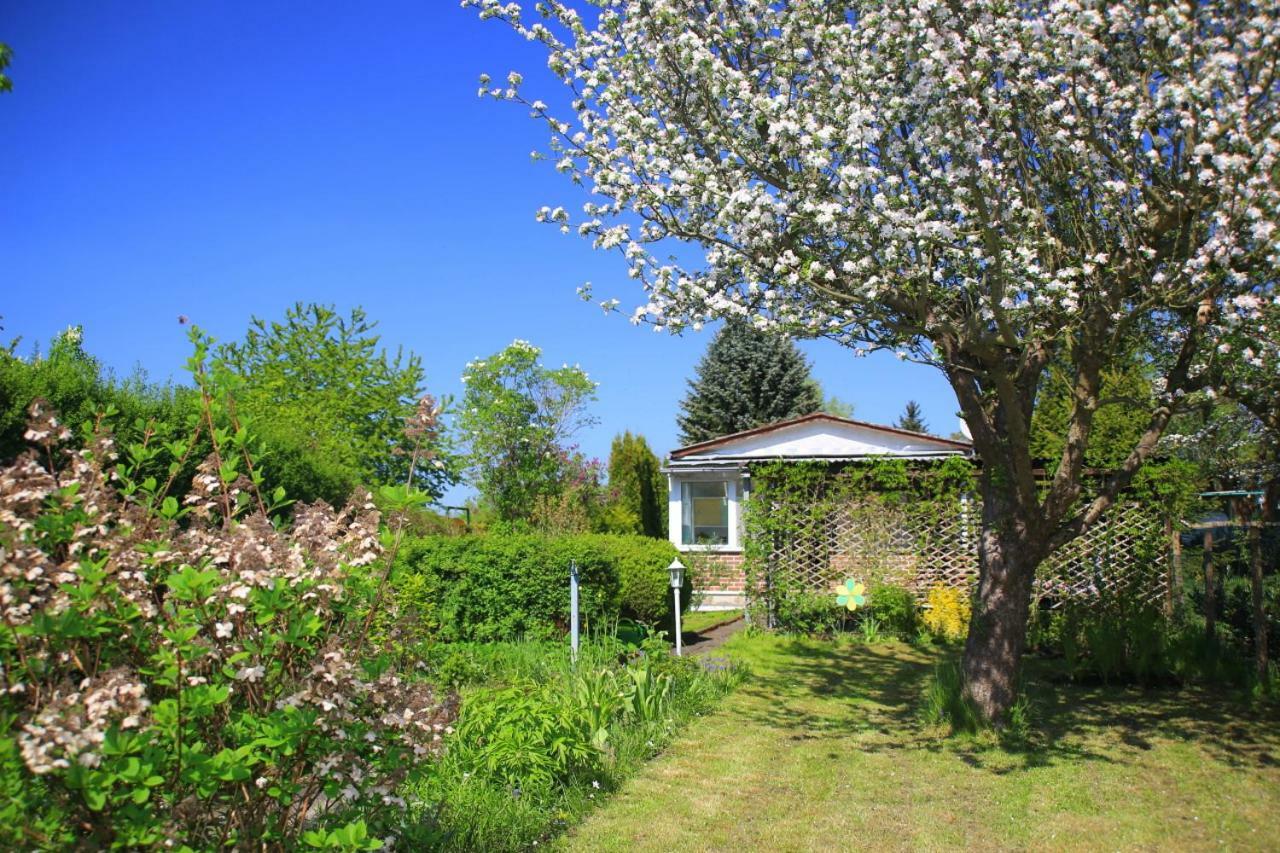 Mitten Im Seenland Und Spreewaldnah, Schoener Garten Storkow  Eksteriør bilde